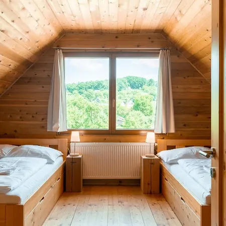 Guest house Cedrovy 3*